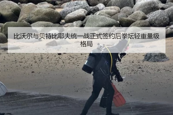 比沃尔与贝特比耶夫统一战正式签约后拳坛轻重量级格局
